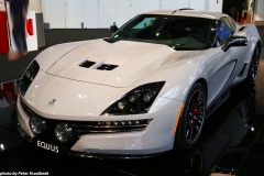 Equus Throwback S