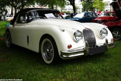 Jaguar XK 150